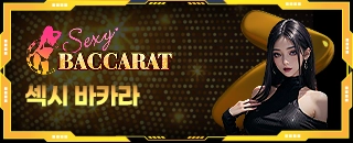 섹시카지노