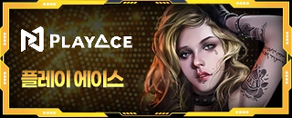 플레이 에이스 슬롯